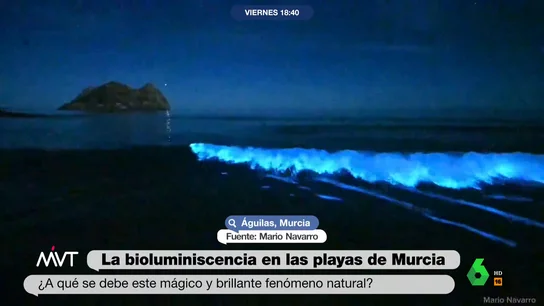 MVT bioluminiscencia MVT bioluminiscencia