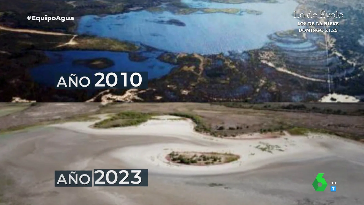 "La metería en la UCI": la reflexión de una bióloga sobre el desolador estado de la laguna en Doñana "La metería en la UCI": la reflexión de una bióloga sobre el desolador estado de la laguna en Doñana