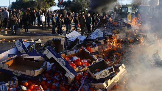 Imagen de fruta española tirada Imagen de fruta española tirada