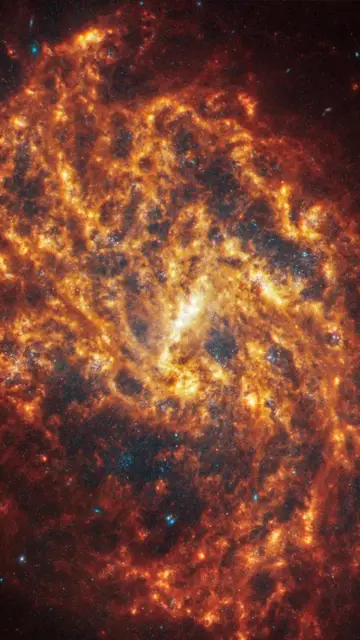 La galaxia espiral NGC 1087 se encuentra a 80 millones de años luz, en la constelación de Cetus. La galaxia espiral NGC 1087 se encuentra a 80 millones de años luz, en la constelación de Cetus.