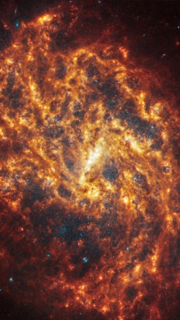 La galaxia espiral NGC 1087 se encuentra a 80 millones de años luz, en la constelación de Cetus.