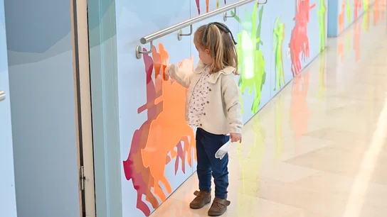 La pequeña Irene ha sido tratada con una nueva terapia basada en terapia celular con células thyTreg La pequeña Irene ha sido tratada con una nueva terapia basada en terapia celular con células thyTreg