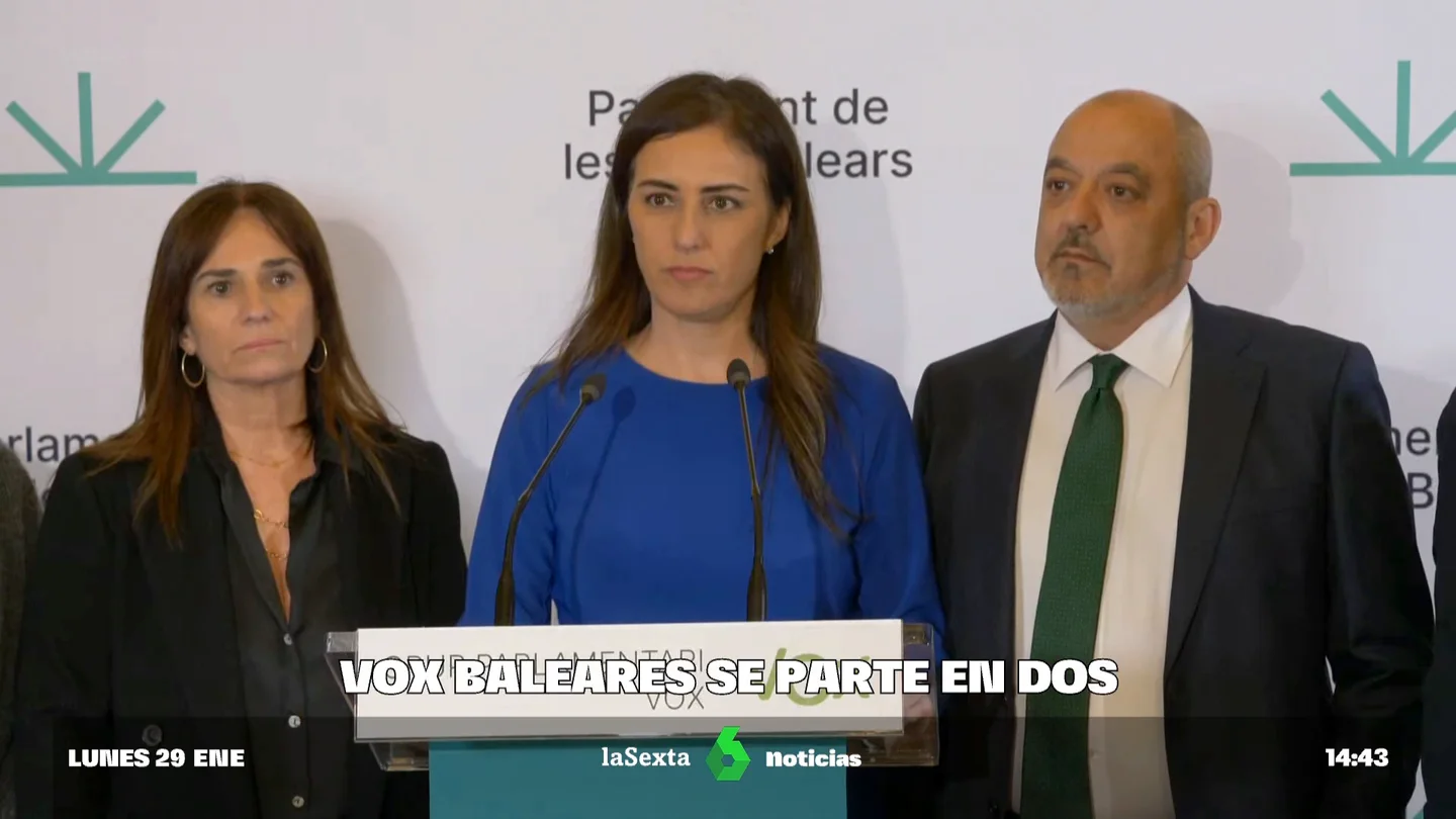 vox vox