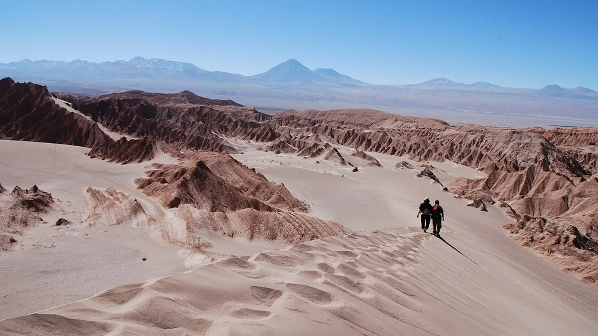 Desierto de Atacama. Chile