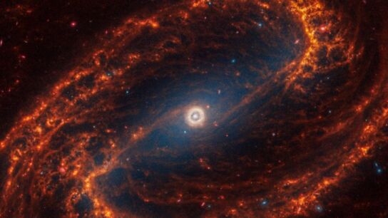 La galaxia espiral NGC 1300, que se encuentra a 69 millones de años luz, en la constelación de Eridanus.