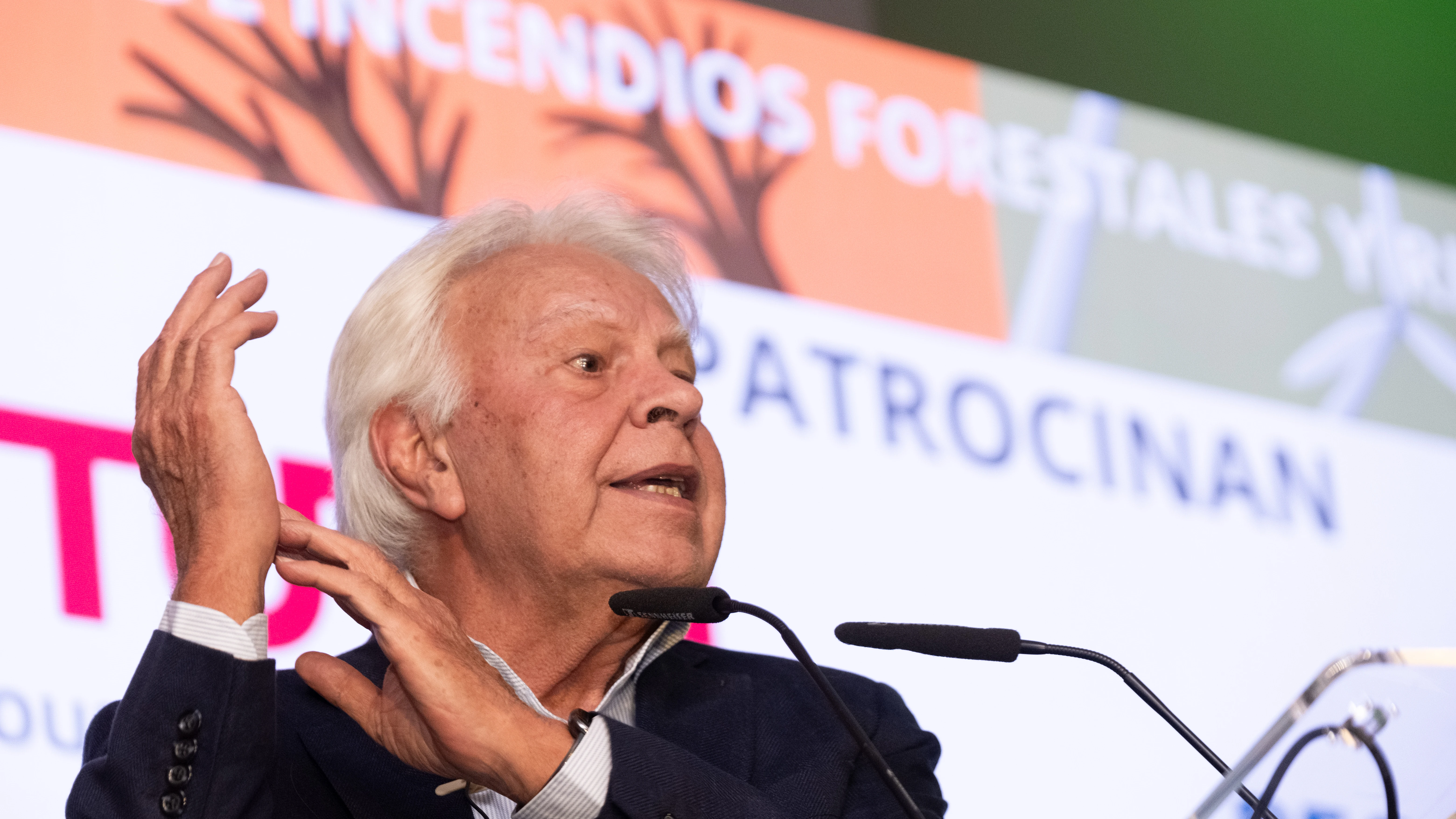 El expresidente del Gobierno Felipe González, durante su intervención en las II Jornadas de Incendios Forestales y Riesgos Naturales
