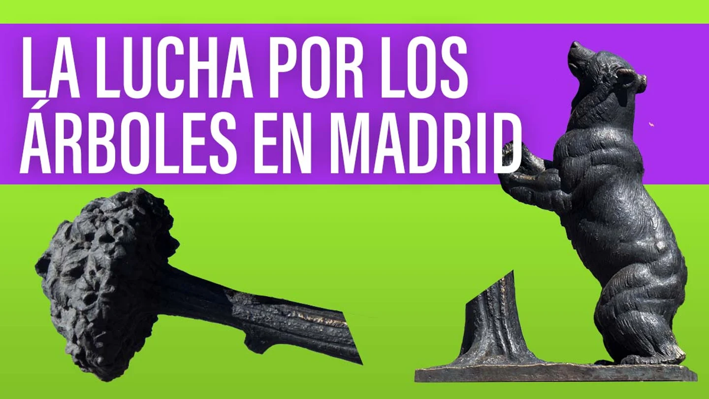 Tala árboles Madrid Tala árboles Madrid