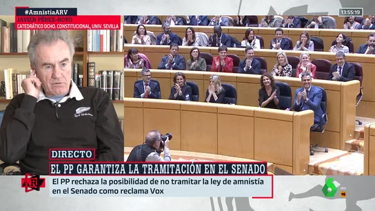 Pérez-Royo, tajante sobre la petición de Vox para que la ley de amnistía no sea tramitada en el Senado: "Sería un golpe de Estado" Pérez-Royo, tajante sobre la petición de Vox para que la ley de amnistía no sea tramitada en el Senado: "Sería un golpe de Estado"