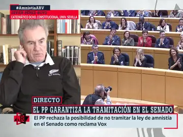 Pérez-Royo, tajante sobre la petición de Vox para que la ley de amnistía no sea tramitada en el Senado: &quot;Sería un golpe de Estado&quot;