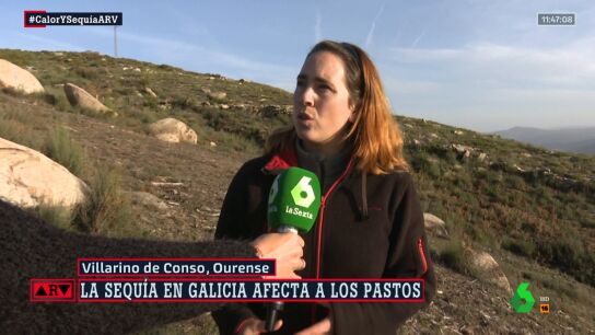 As&iacute; tratan los ganaderos de Ourense de afrontar la fuerte sequ&iacute;a: "Intentamos abrir m&aacute;s zonas de pasto"