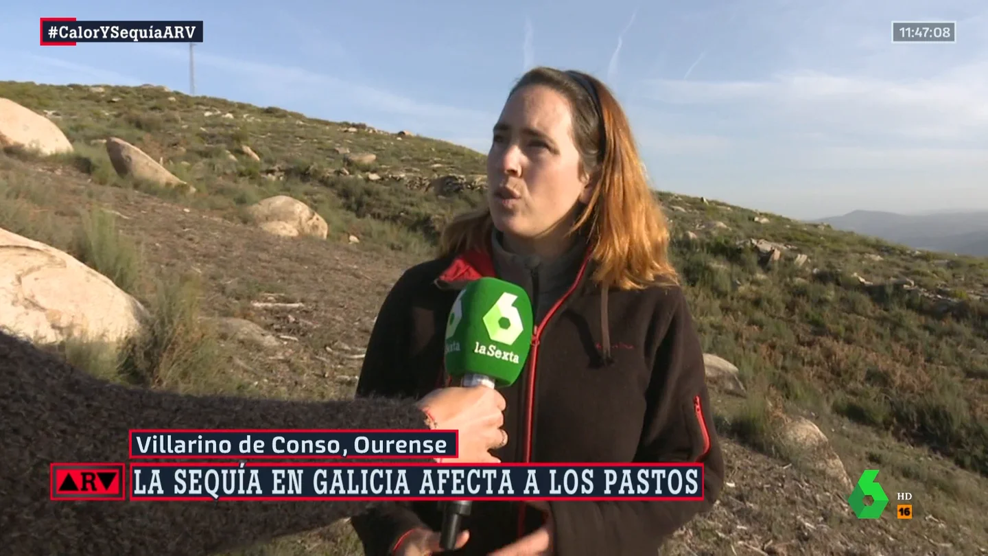 Así tratan los ganaderos de Ourense de afrontar la fuerte sequía: "Intentamos abrir más zonas de pasto" Así tratan los ganaderos de Ourense de afrontar la fuerte sequía: "Intentamos abrir más zonas de pasto"