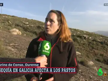 Así tratan los ganaderos de Ourense de afrontar la fuerte sequía: &quot;Intentamos abrir más zonas de pasto&quot;