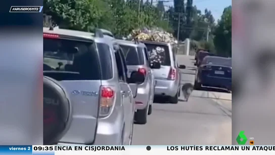 Un perro corre junto a un coche fúnebre para acompañar a su dueño en su último paseo hasta el cementerio Un perro corre junto a un coche fúnebre para acompañar a su dueño en su último paseo hasta el cementerio