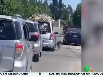 Un perro corre junto a un coche fúnebre para acompañar a su dueño en su último paseo hasta el cementerio