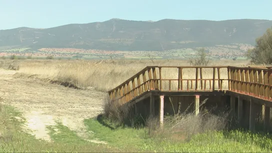 Parque Nacional de las Tablas de Daimiel. Parque Nacional de las Tablas de Daimiel.