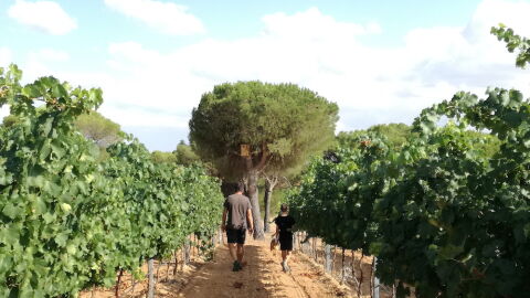 Enoturismo en famila en la Ruta del Vino de Rueda