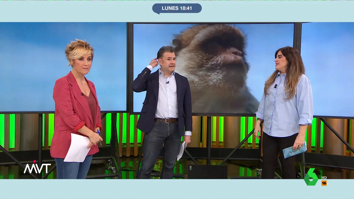 Iñaki López confiesa que un mono de Gibraltar le robó el bocadillo Mientras Más Vale Tarde analiza las imágenes de un macaco de Gibraltar en el tejado de un instituto de la Línea de la Concepción, Iñaki López cuenta una divertida anécdota que demuestra por qué, según él, estos monos son unos "mangantes".