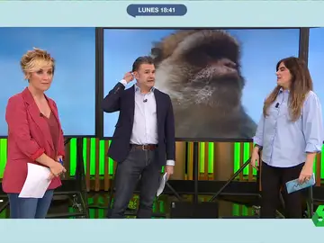 Iñaki López confiesa que un mono de Gibraltar le robó el bocadillo