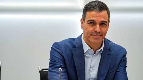 Imagen del presidente del Gobierno, Pedro Sánchez, durante la reunión de la Comisión Ejecutiva Federal Imagen del presidente del Gobierno, Pedro Sánchez, durante la reunión de la Comisión Ejecutiva Federal, este lunes en Madrid. EFE/ Borja Sánchez Trillo