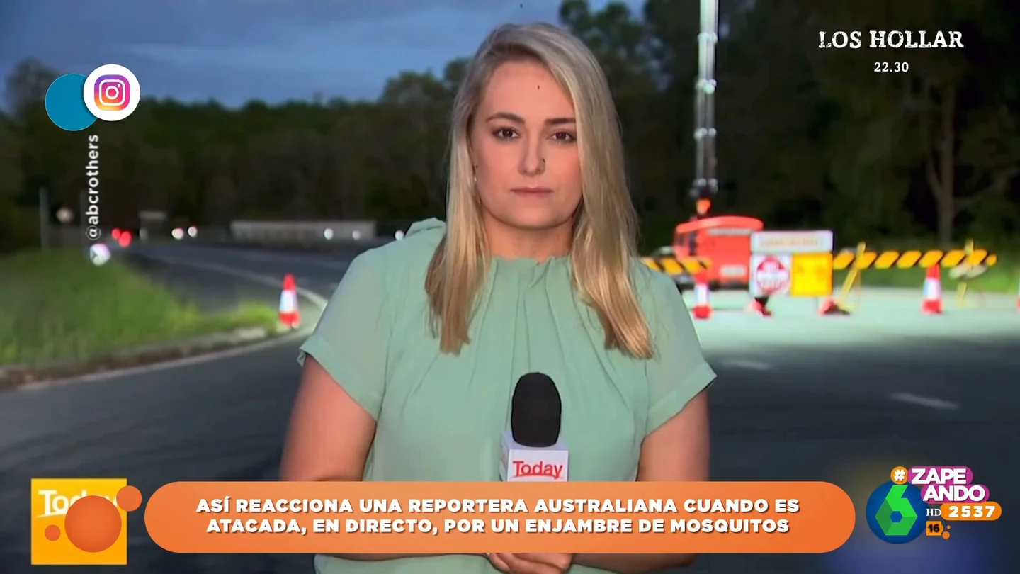 La reacción de una reportera australiana al ser 'atacada' por un enjambre de mosquitos La reacción de una reportera australiana al ser 'atacada' por un enjambre de mosquitos