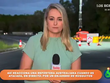 La reacción de una reportera australiana al ser &#39;atacada&#39; por un enjambre de mosquitos