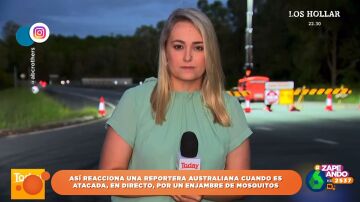 La reacción de una reportera australiana al ser 'atacada' por un enjambre de mosquitos