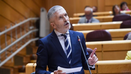 El ministro del Interior, Fernando Grande-Marlaska, durante una sesión de control al Gobierno en la Cámara Alta, a 6 de febrero de 2024, en Madrid (España). El ministro del Interior, Fernando Grande-Marlaska, durante una sesión de control al Gobierno en la Cámara Alta, a 6 de febrero de 2024, en Madrid (España).