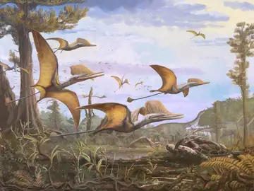 Reconstrucción de Ceoptera evansae Reconstrucción de Ceoptera evansae