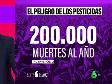 El peligro de los pesticidas en los alimentos: 200.000 personas mueren cada año por intoxicación