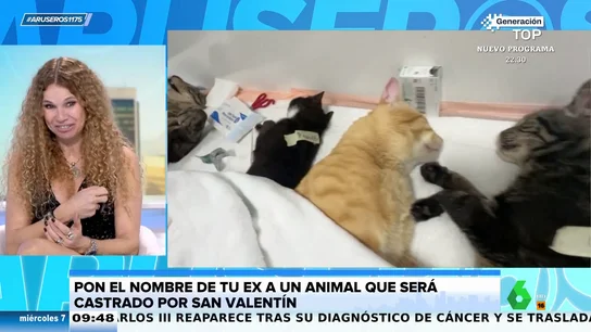 Castra a tu ex, la campaña de San Valentín que te ofrece poner el nombre de tu ex a un gato que será castrado Castra a tu ex, la campaña de San Valentín que te ofrece poner el nombre de tu ex a un gato que será castrado