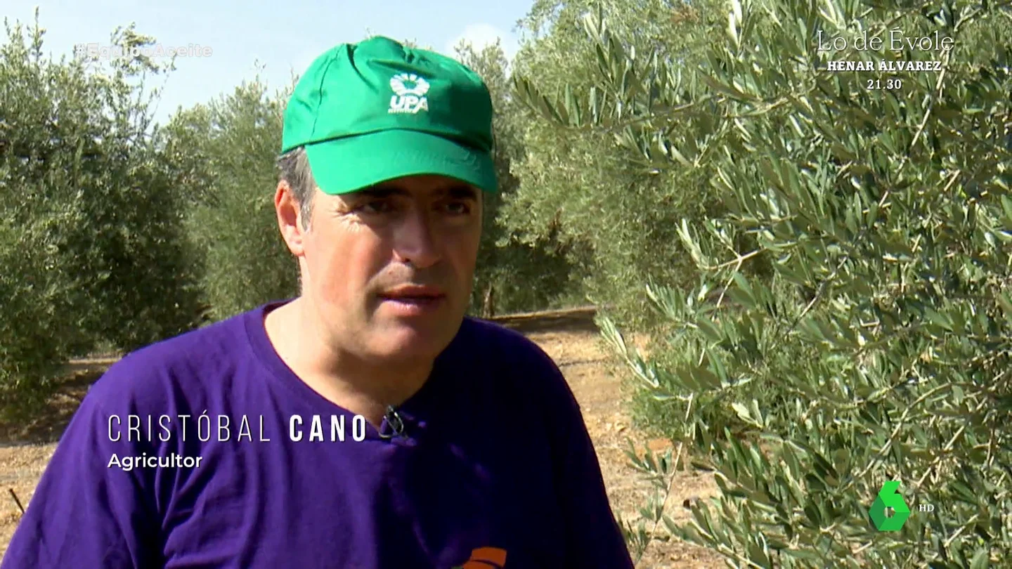 Un agricultor vaticina "otra cosecha perdida" ante la escasez de olivas: "Es como encontrar una aguja en un pajar" Un agricultor vaticina "otra cosecha perdida" ante la escasez de olivas: "Es como encontrar una aguja en un pajar"