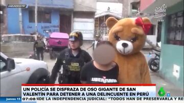Un policía se disfraza de oso gigante en San Valentín para detener a una narcotraficante: "Peligrosa delincuente, sí, pero romántica"