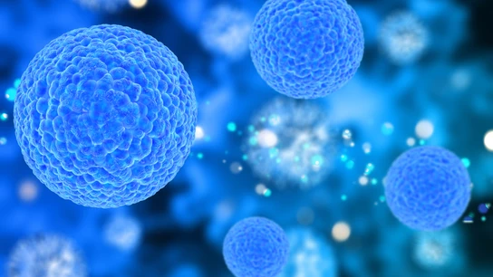 Células en 3D Células en 3D