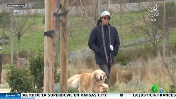 Alfonso Arús, a Tamara Falcó al ver a Íñigo Onieva con sus perras: "Un novio famoso y seductor con ellas puede ser irresistible"