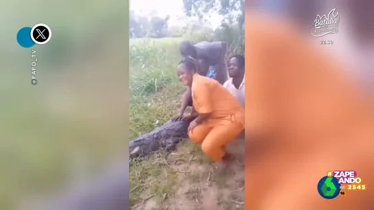 El tremendo susto que se lleva un grupo de personas al intentar tocar a un cocodrilo El tremendo susto que se lleva un grupo de personas al intentar tocar a un cocodrilo