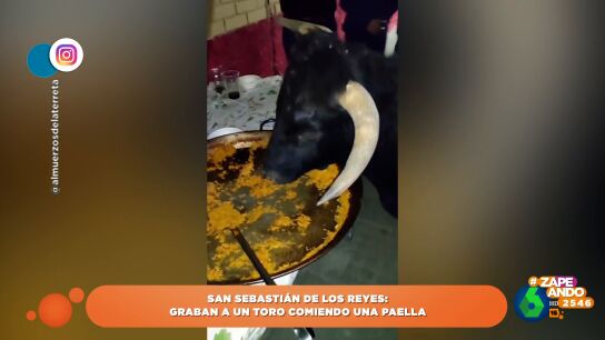 Toro comiendo paella que se ha vuelto viral
