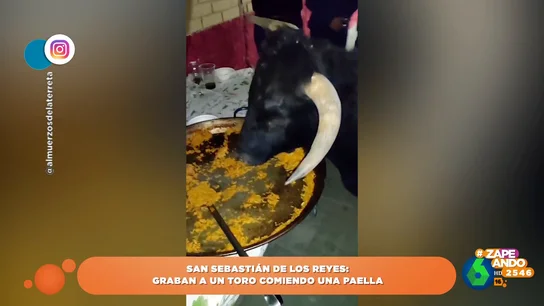 Toro comiendo paella que se ha vuelto viral Toro comiendo paella que se ha vuelto viral