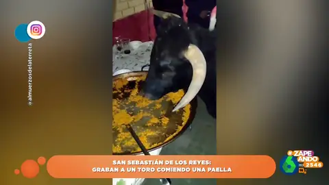 Toro comiendo paella que se ha vuelto viral