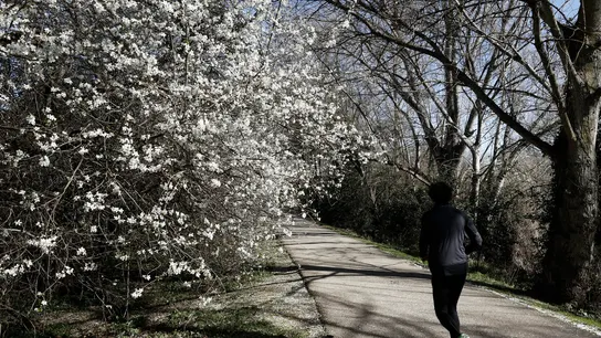 Una persona corre por un parque de Pamplona este martes, 20 de febrero de 2024 Una persona corre por un parque de Pamplona este martes, 20 de febrero de 2024