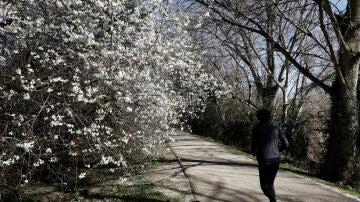 Una persona corre por un parque de Pamplona este martes, 20 de febrero de 2024 