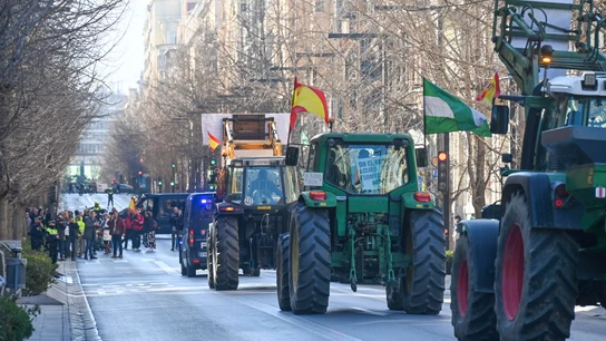 La tractorada celebrada en Granada La tractorada celebrada en Granada