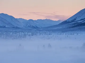 Bosques de Oymyakon. Rusia Bosques de Oymyakon. Rusia