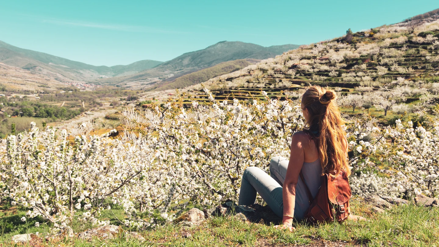 Chica joven viendo los cerezos en flor en el Valle del Jerte Chica joven viendo los cerezos en flor en el Valle del Jerte