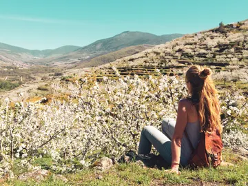 Chica joven viendo los cerezos en flor en el Valle del Jerte Chica joven viendo los cerezos en flor en el Valle del Jerte