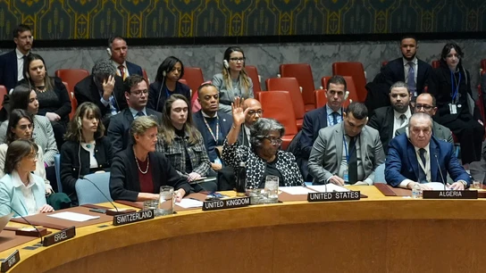 Linda Thomas-Greenfield, embajadora de EEUU en la ONU, vota en contra de la resolución por un alto el fuego en Gaza Linda Thomas-Greenfield, embajadora de EEUU en la ONU, vota en contra de la resolución por un alto el fuego en Gaza