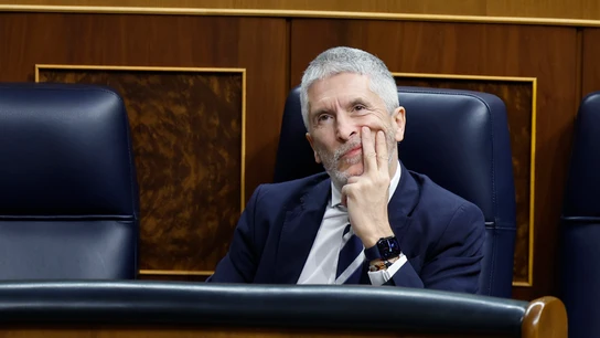 Imagen de Marlaska en el Congreso Imagen de Marlaska en el Congreso
