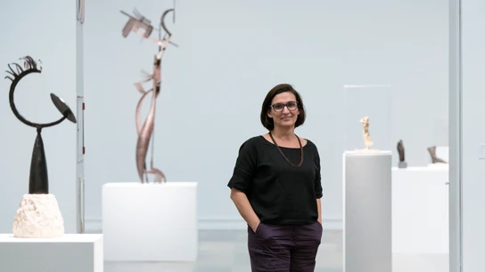 Dimite la directora del Institut Valencià d'Art Modern (IVAM) tras ser denunciada por la Generalitat Dimite la directora del Institut Valencià d'Art Modern (IVAM) tras ser denunciada por la Generalitat