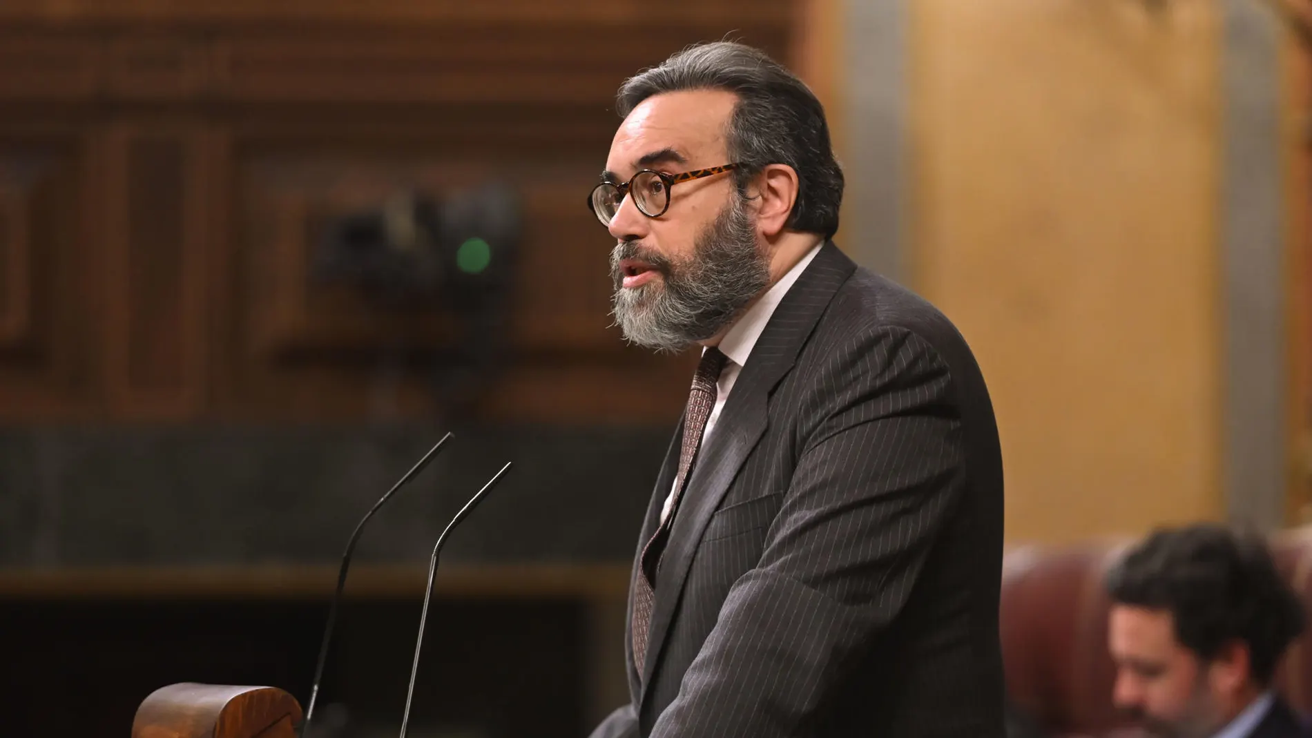 El diputado de Vox José María Sánchez interviene en el Congreso