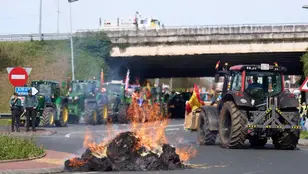 Los ganaderos queman paja en una rotonda durante la tractorada convocada en Colindres (Cantabria)