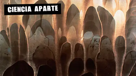 Fragmento del quimigrama CH 8/2/61 de Pierre Cordier Fragmento del quimigrama CH 8/2/61 de Pierre Cordier